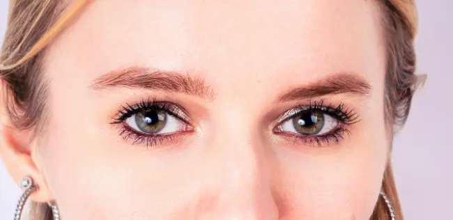 Test de l'application Evoto