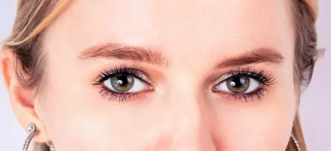 Test de l'application Evoto